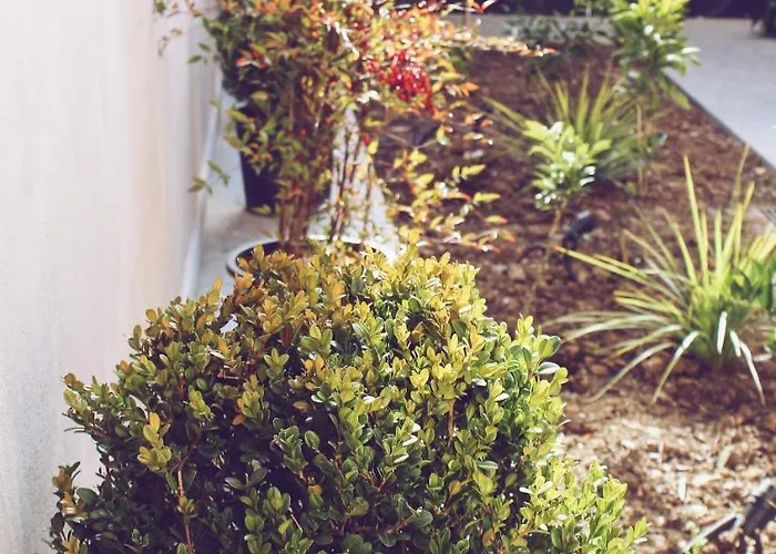 מלון Stela Center טיראנה