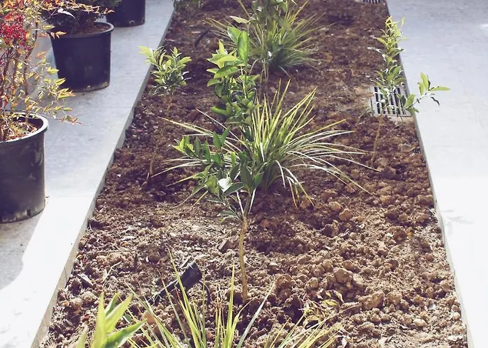 Stela Center טיראנה