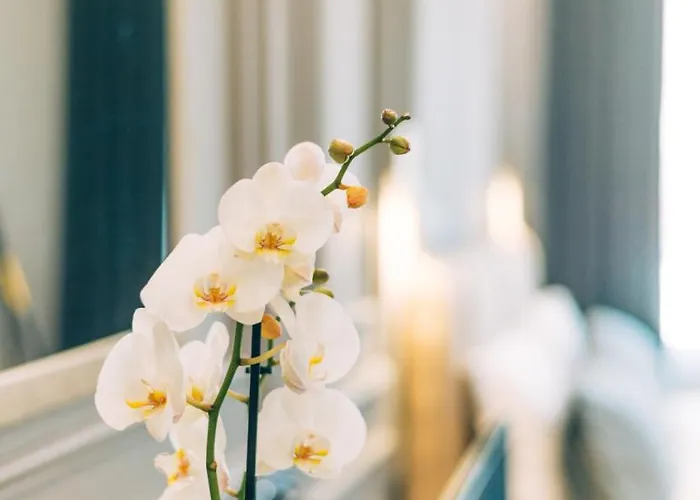 Stela Center 4* 地拉那