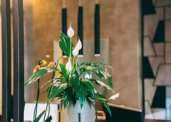 Hotel Stela Center Tirana