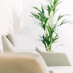 Stela Center 4* Tirana