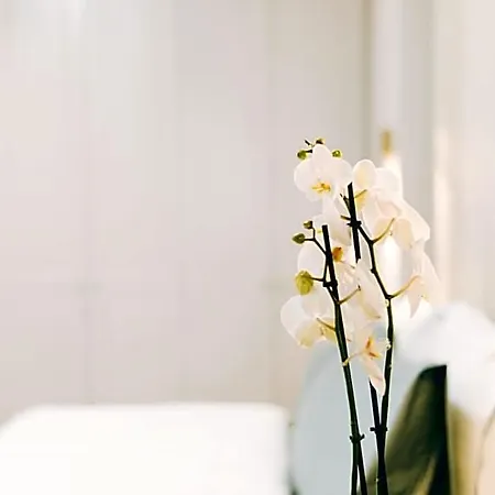 Stela Center 4*