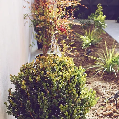 Otel Stela Center Tiran