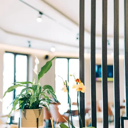 Otel Stela Center Tiran